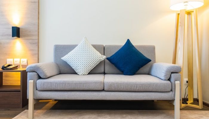 comfortable-pillow-sofa_74190-10005